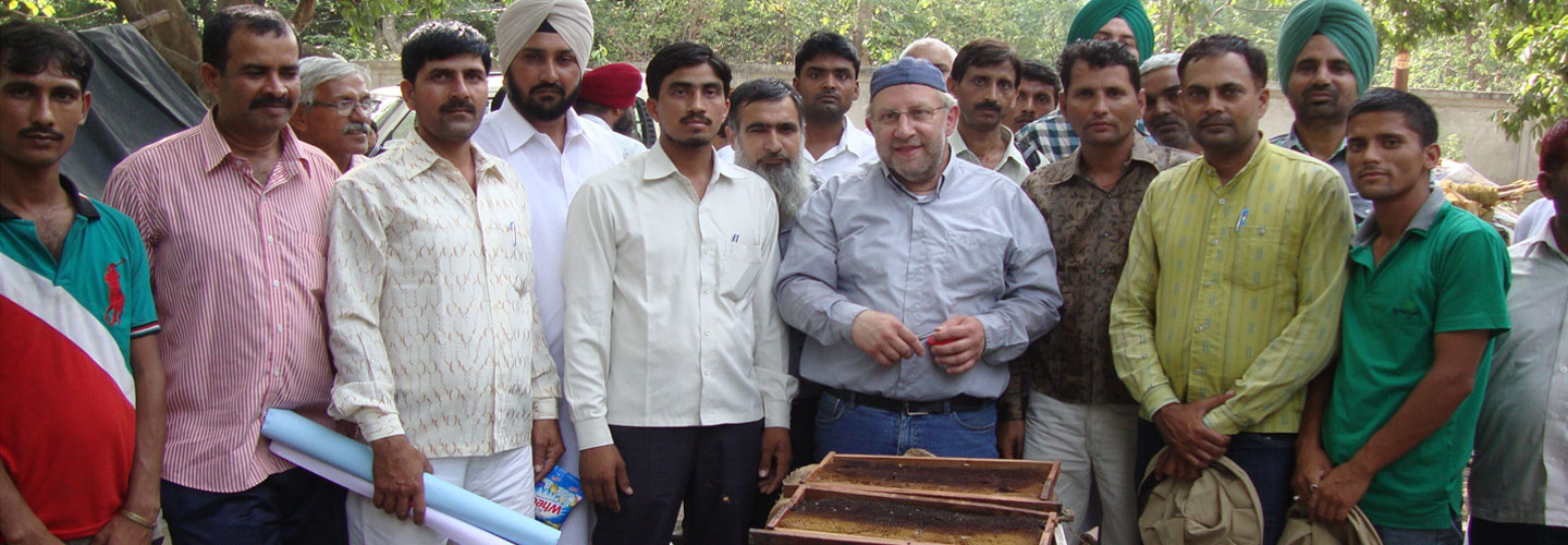 practical training of farmers/beekeeper, bee keeping

